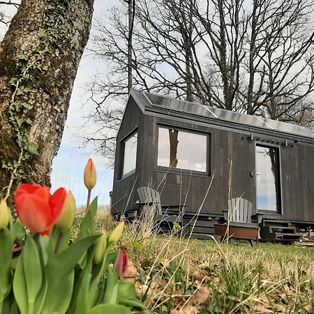 L'Envolee Ecolodge, Tiny House Au Coeur Des Vignes Loches-sur-Ource Εξωτερικό φωτογραφία